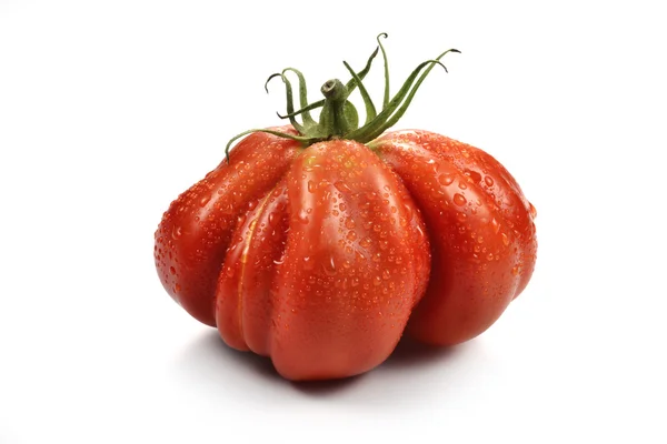 Biftek domates damla 1 — Stok fotoğraf