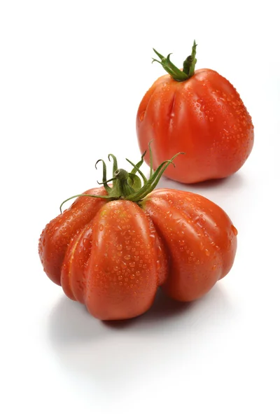 Dos Beefsteak Tomates con Gotas 2 — Foto de Stock