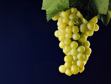 Üzüm yaprakları ile demet