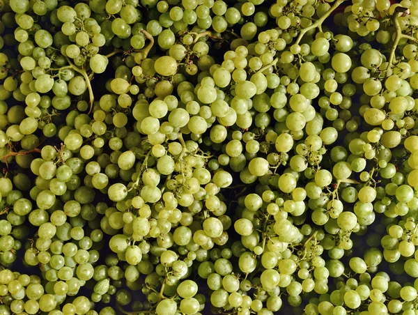 Background of Grapes — Stock Photo, Image