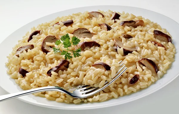 Plat de Risotto aux champignons à la fourchette — Photo