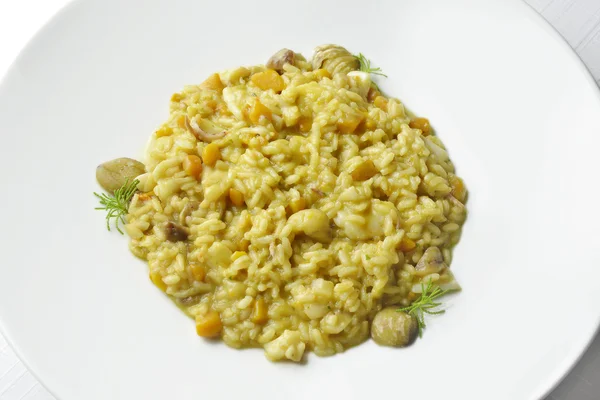 Risotto com delicadezas do mar abóbora e castanhas — Fotografia de Stock