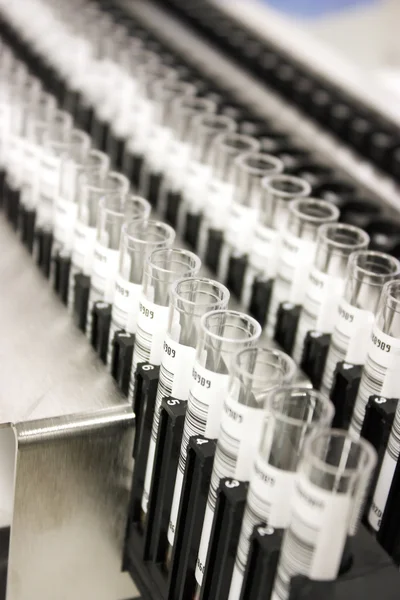 Rack com tubos de ensaio de sangue — Fotografia de Stock