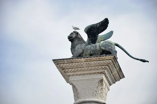 Detalj av Venedig Lion och Måsen — Stockfoto