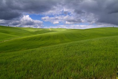 Toskana manzara Siena hills