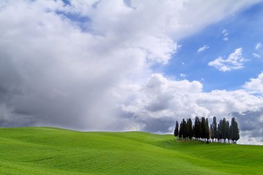 Toskana manzara Siena hills