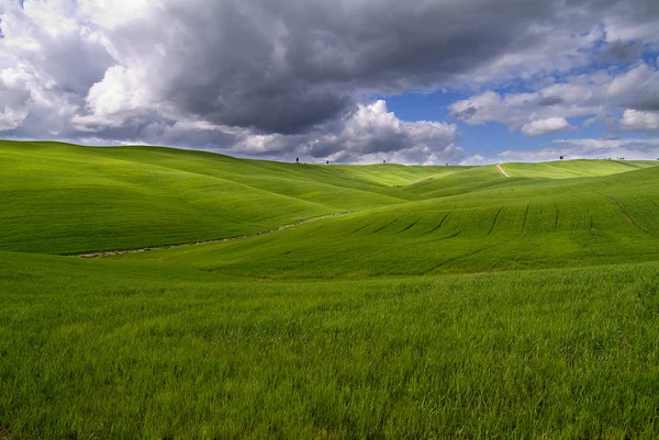 Paisagem toscana Siena colinas — Fotografia de Stock