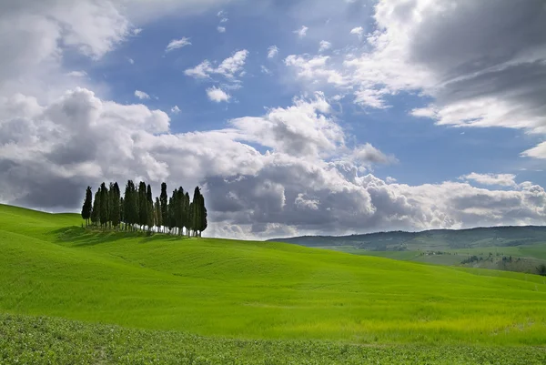 Тосканський краєвид пагорбів Сієна — стокове фото