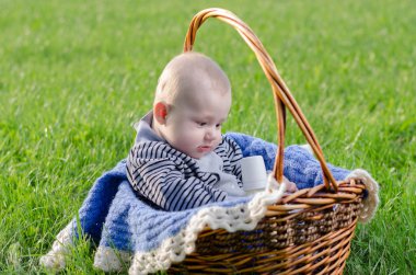 bir sepet içinde dinlenme bebek