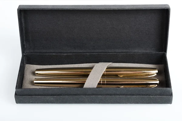 Case with fountain pens Stock Photo