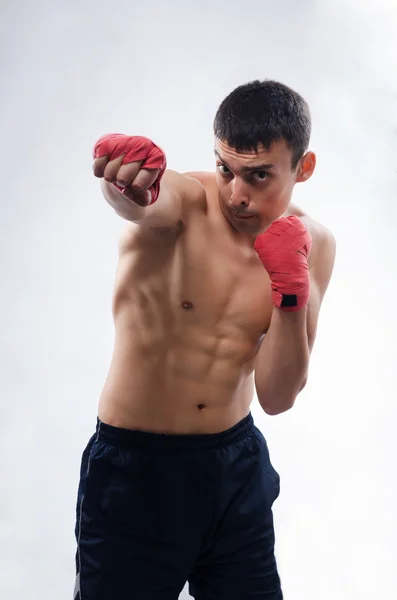 Silný mladý pejsek boxer — Stock fotografie