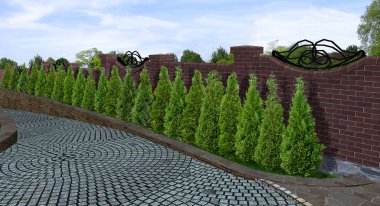 Ağaçların alley, 3d render