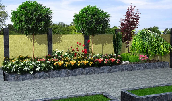 Landscaping roses and plant groupings, 3D render — Stock Photo, Image