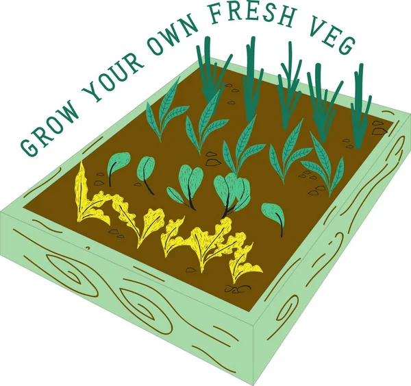 Légumes Frais Graphisme — Image vectorielle