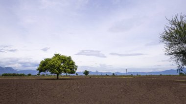 Boş tarım arazisi, sürülmüş tarlalar, verimli, siyah ve kahverengi toprak ekime hazır. Tohum ekmek ve ekmek için tarla hazır. Dağlarla çevrili tarlalar ve ağaçlar.