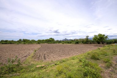 Boş tarım arazisi, sürülmüş tarlalar, verimli, siyah ve kahverengi toprak ekime hazır. Tohum ekmek ve ekmek için tarla hazır. Dağlarla ve palmiyelerle çevrili tarlalar.