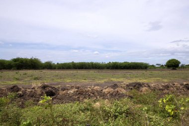 Dağ ve bulutlarla çevrili boş tarım arazileri. Tarım boş ve iyi toprak ve suyla satılmaya hazır..