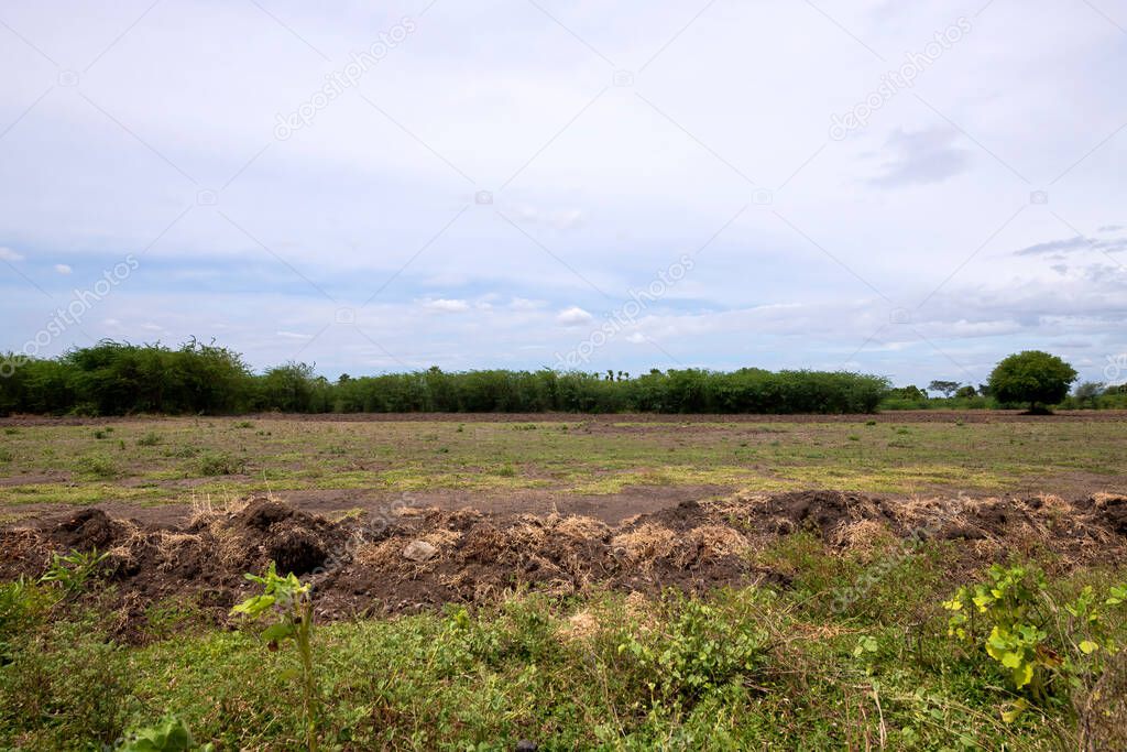 Empty agriculture land surround by mounting and clouds. Agriculture empty and ready for sale with good soil and water.
