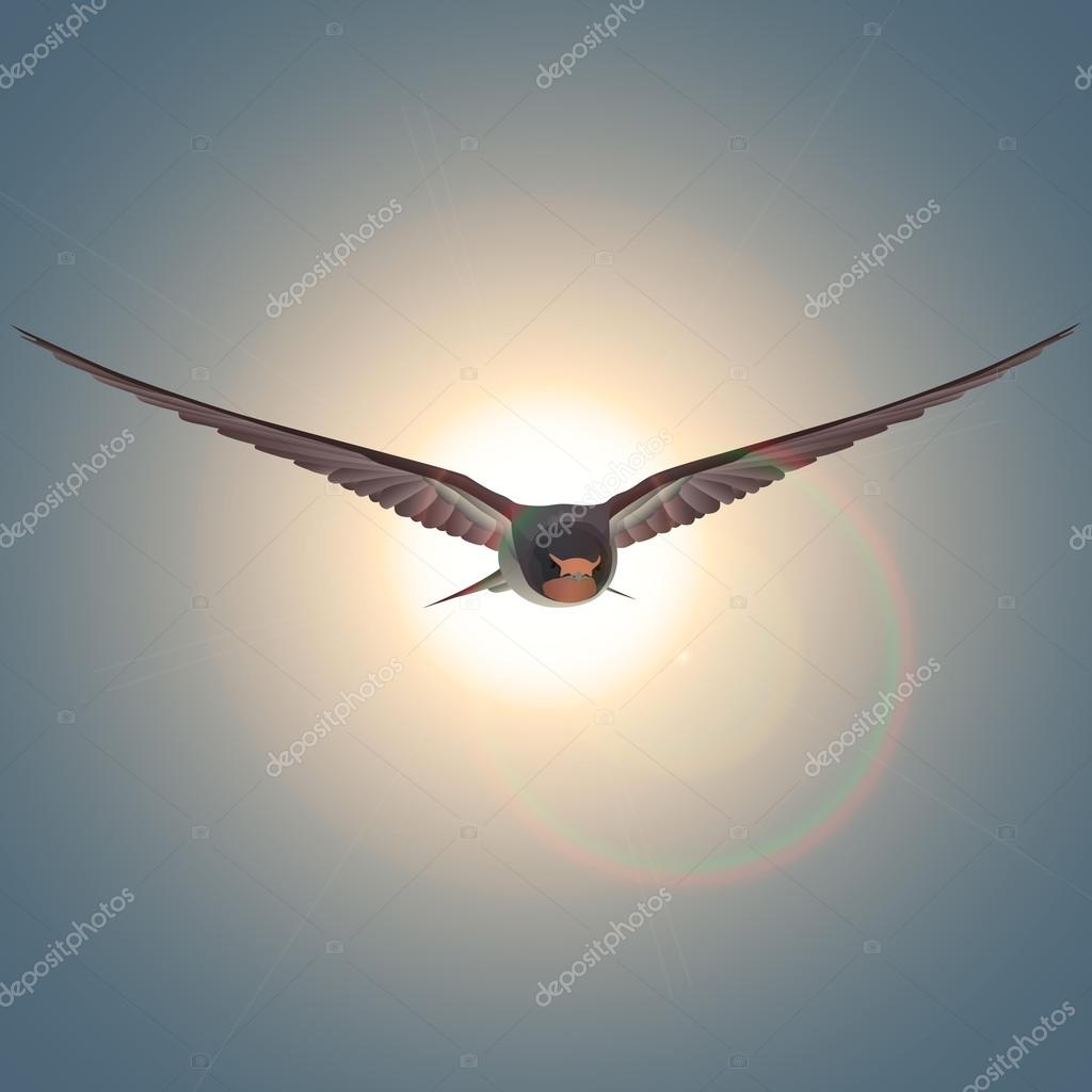 Gratuit Vol Oiseau Hirondelle Au Soleil Image Vectorielle