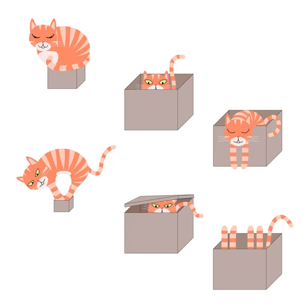 Conjunto de lindos gatos de dibujos animados en cajas — Vector de stock