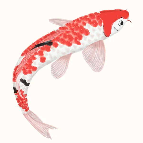 Carpa de arco-íris Koi. Peixe desenhado à mão isolado — Vetor de Stock