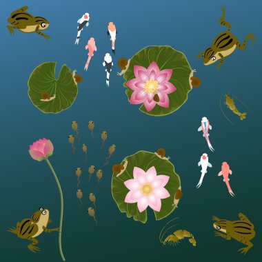 pond with whitebait carp fishes water lilies and  frog clipart