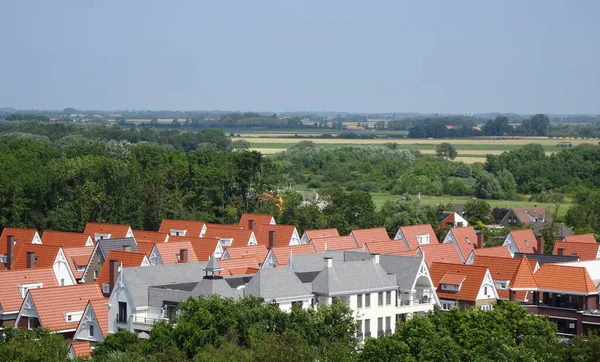 Quartier Résidentiel Vue Panoramique Dishoek Zélande Aux Pays Bas — Photo