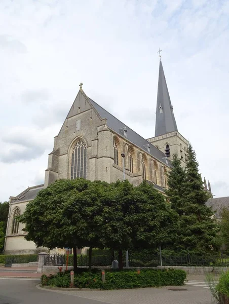Herentals Belçika Daki Waldetrudis Kilisesi — Stok fotoğraf