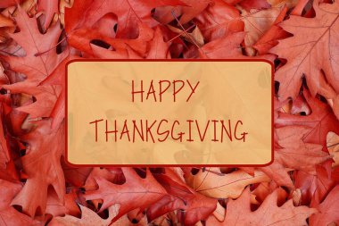 Şükran Günü tebrik kartın kutlu olsun. Kırmızı sonbahar, arka planda 