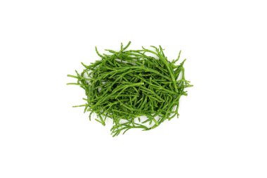 Çiğ yeşil samphire beyaz arka planda izole edilmiş. Samphire yukarıdan görüldü. Salicornia.
