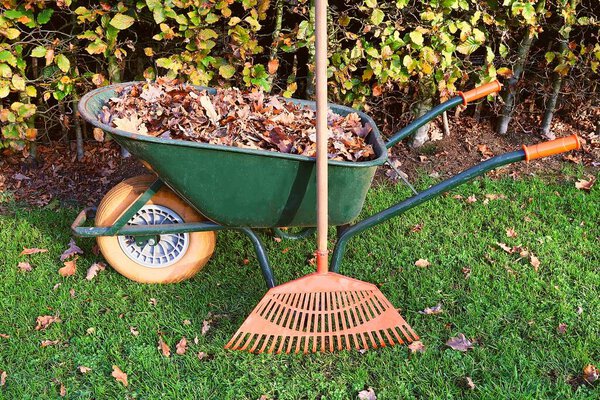 Листья грабли и тачка заполнены опавшими осенними листьями на зеленой траве. Осенняя концепция.
