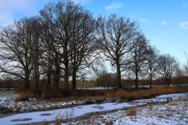 Kış manzarası. Hafif donmuş Kleine Nete nehri ve Herentals, Belçika 'da çıplak ağaçlarla kaplı karlı bir manzara..