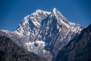 Himalaya tepepicco himalayano