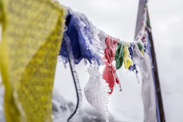Frozen buddhist flags — Stock Photo, Image