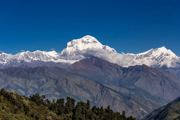 Himalayan mountains at sunrise — Stock Photo, Image