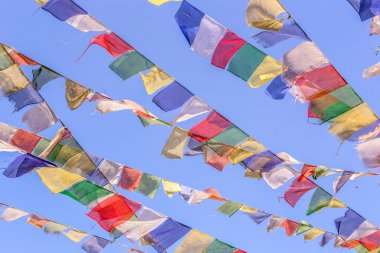 Colorful nepalese flags clipart