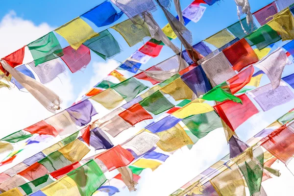 Colorful nepalese flags — Stock Photo, Image