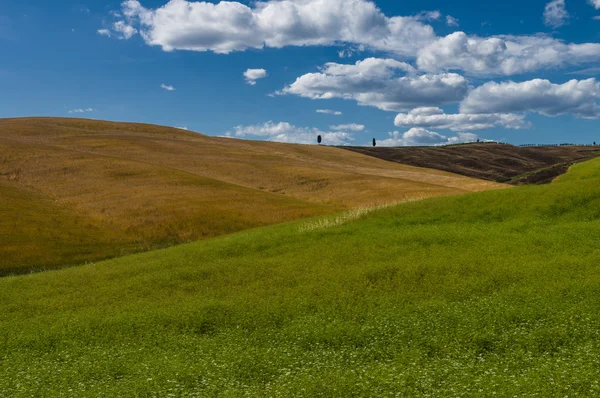 Val d 'Orcia maisema — kuvapankkivalokuva