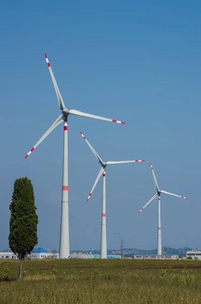 Turbina eólica —  Fotos de Stock