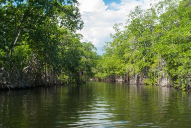 Black River, Jamaica