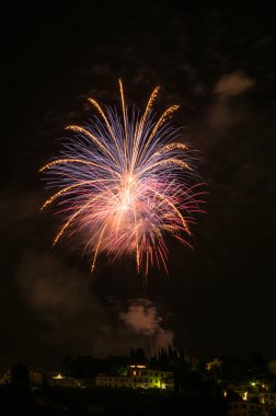 Fiesole şirketinde Fireworks