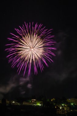 Fiesole şirketinde Fireworks