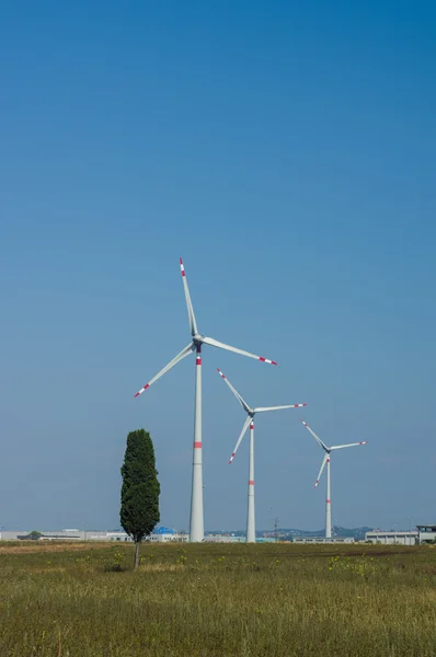 Turbin angin — Stok Foto