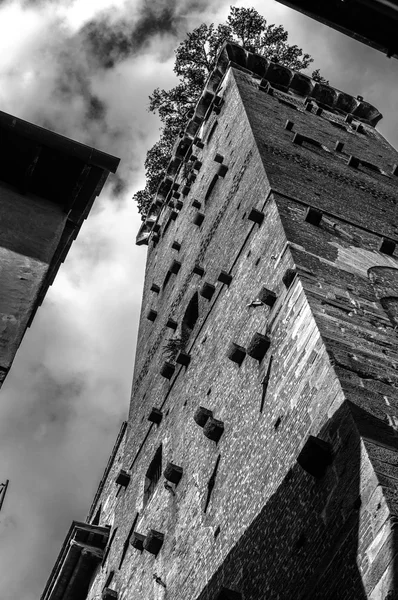 Lucca-Turm — Stockfoto