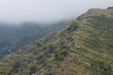 Şafak sis Dağları