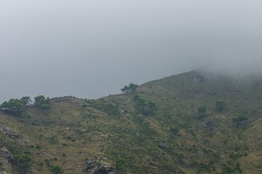 Şafak sis Dağları