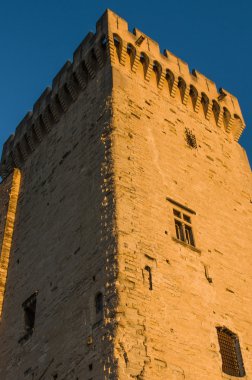 Avignon - uitzicht op pausen palace, provence, Frankrijk