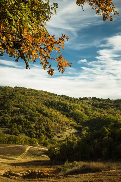 İtalya sonbaharda meşe — Stok fotoğraf