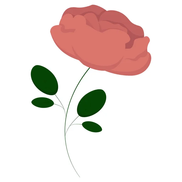 Jedna Różowa Róża Cienkiej Zielonej Łodydze — Wektor stockowy