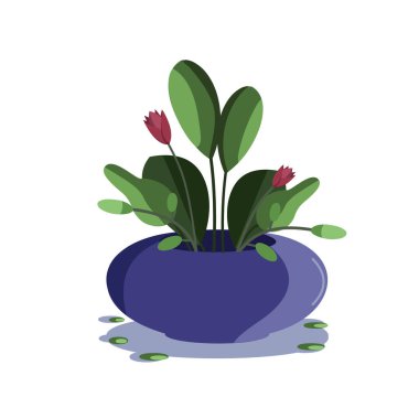 Yeşil bitki ve çiçekli mavi düz vazo